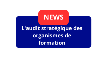 L&rsquo;audit stratégique des organismes de formation